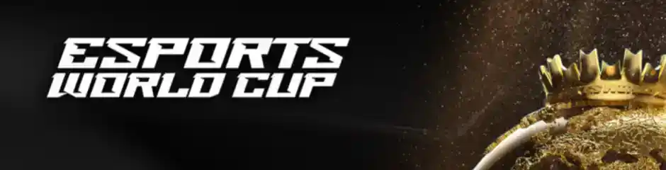 Bandeira da Copa do Mundo Wsports