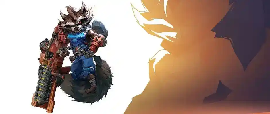 Bannière Rocket Raccoon